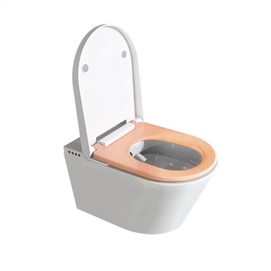 Bidetové WC s vyhrievaným sedadlom