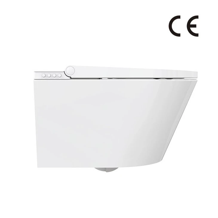 smart toilet bidet system
